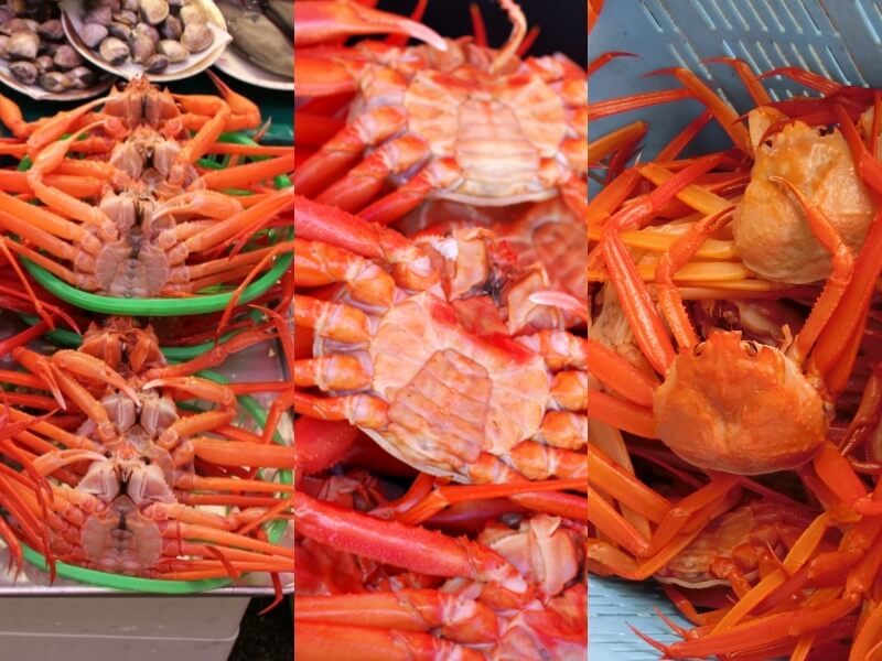 カニ 紅ずわいがに 未冷凍 400〜490g×3尾 A級品 水揚げ当日出荷 新鮮 ボイル 蟹 送料無料 鳥取 境港直送 かに 姿 紅ずわい蟹 ギフト 紅ズワイガニ 未冷凍の通販