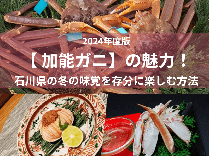 【 加能ガニ】の魅力！石川県の冬の味覚を存分に楽しむ方法2024年度版