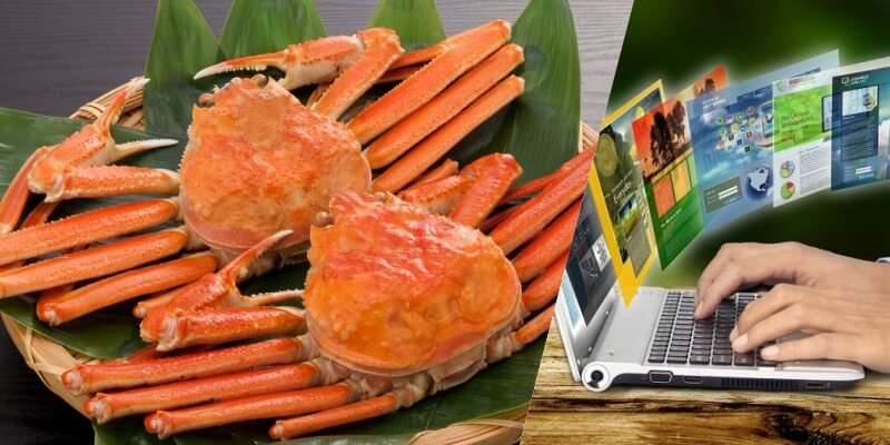 人気の通販サービス