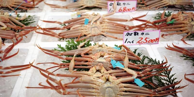 ズワイガニを選ぶメリット