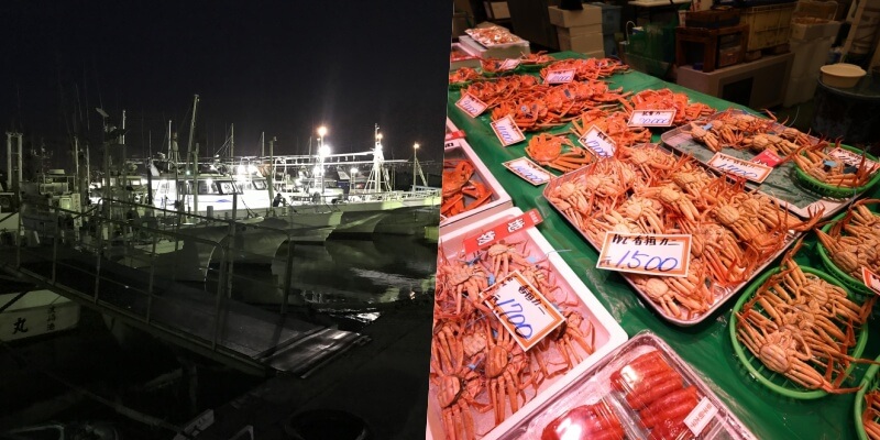 加能ガニの漁期・解禁日