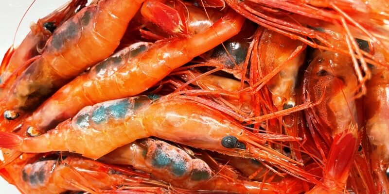 甘えびのおいしい時期