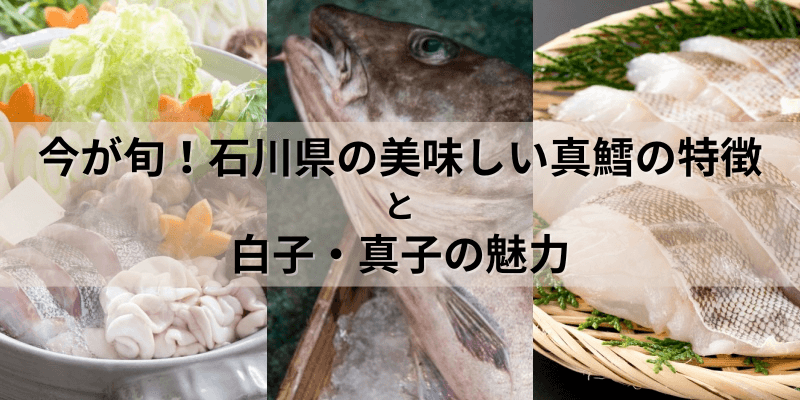 石川県の真鱈