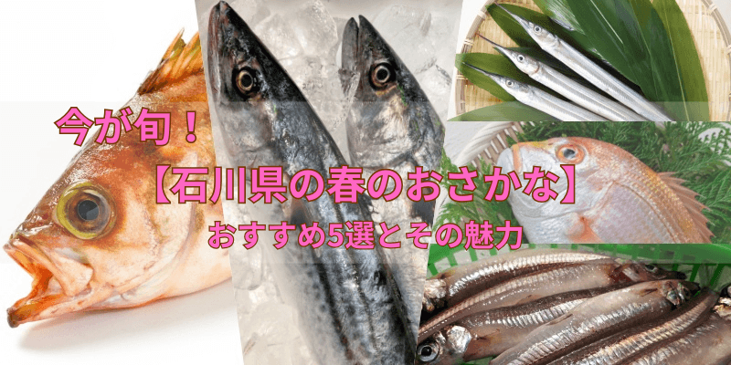 今が旬！