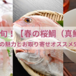今が旬！【春の桜鯛（真鯛）】