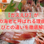 ガスえびが幻の海老と呼ばれる理由