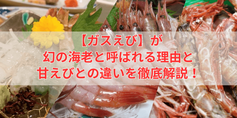 ガスえびが幻の海老と呼ばれる理由