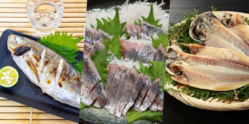 石川県の鰺まとめ