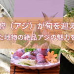 石川県の鰺（アジ）が旬を迎える季節！